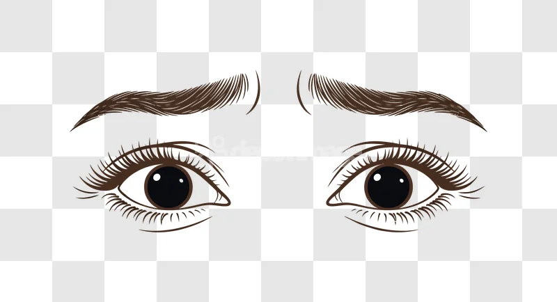 Realistic Brown Eyes Eyebrows Lashes: dark brown, detailed, transparent background.