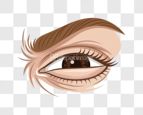 Realistic Human Brown Eye Vector Art