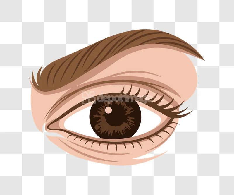Realistic Human Eye Brown Iris Lashes detailed brown iris, prominent lashes, light skin