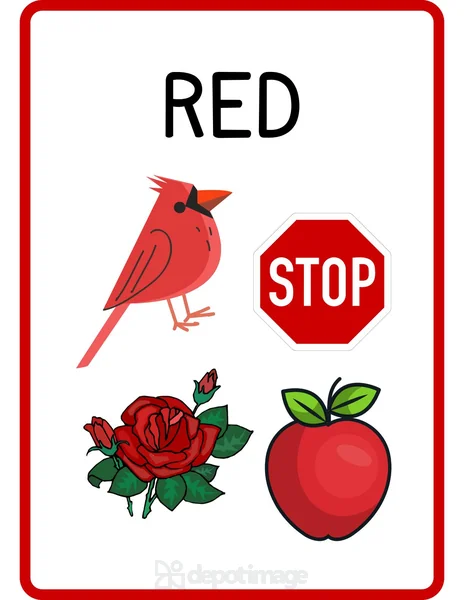 Red Color Flashcard Cardinal Rose Apple Stop Sign