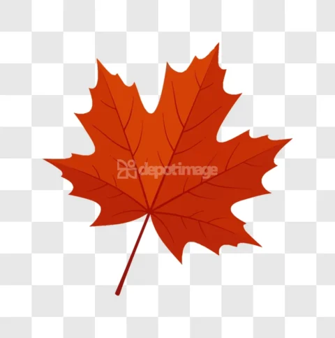 Red Maple Leaf Autumn Fall Icon