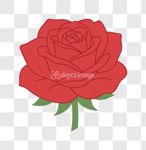 Red Rose Flower Bloom Drawing Outline