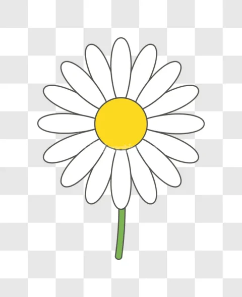 Simple Cartoon Daisy Flower Illustration