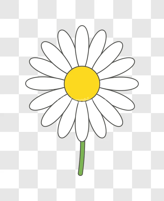 Simple Cartoon Daisy Flower Illustration: white petals, yellow center, green stem, cartoon style.