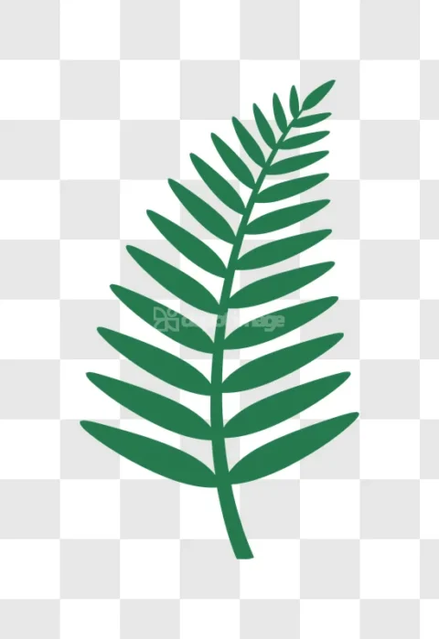 Simple Green Fern Leaf Illustration Nature