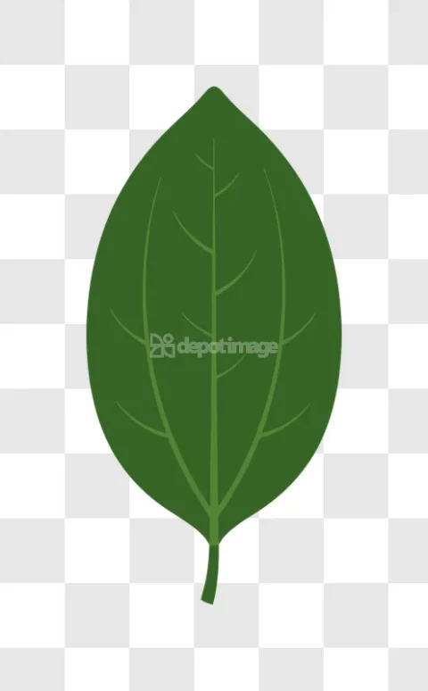 Simple Green Leaf Illustration Vector Minimal
