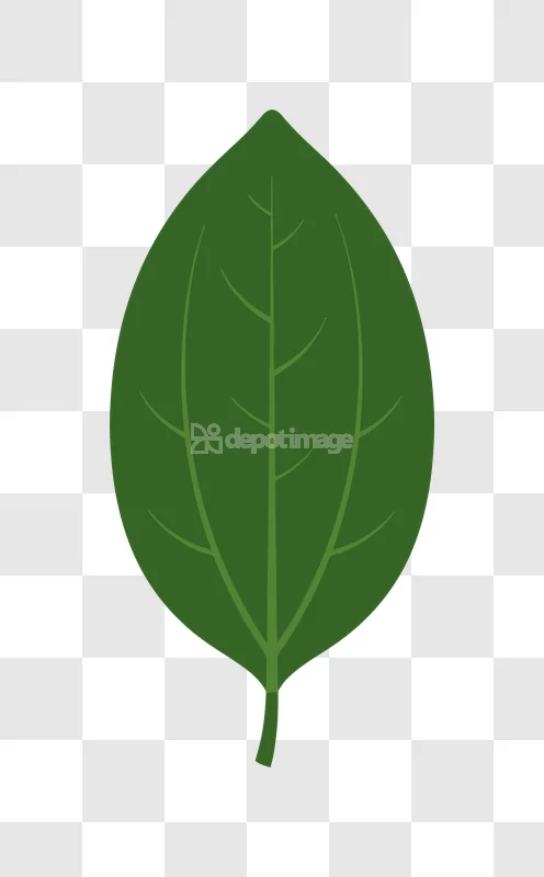 Simple Green Leaf Illustration Vector Minimal: vibrant green, stylized, minimal leaf with veins.